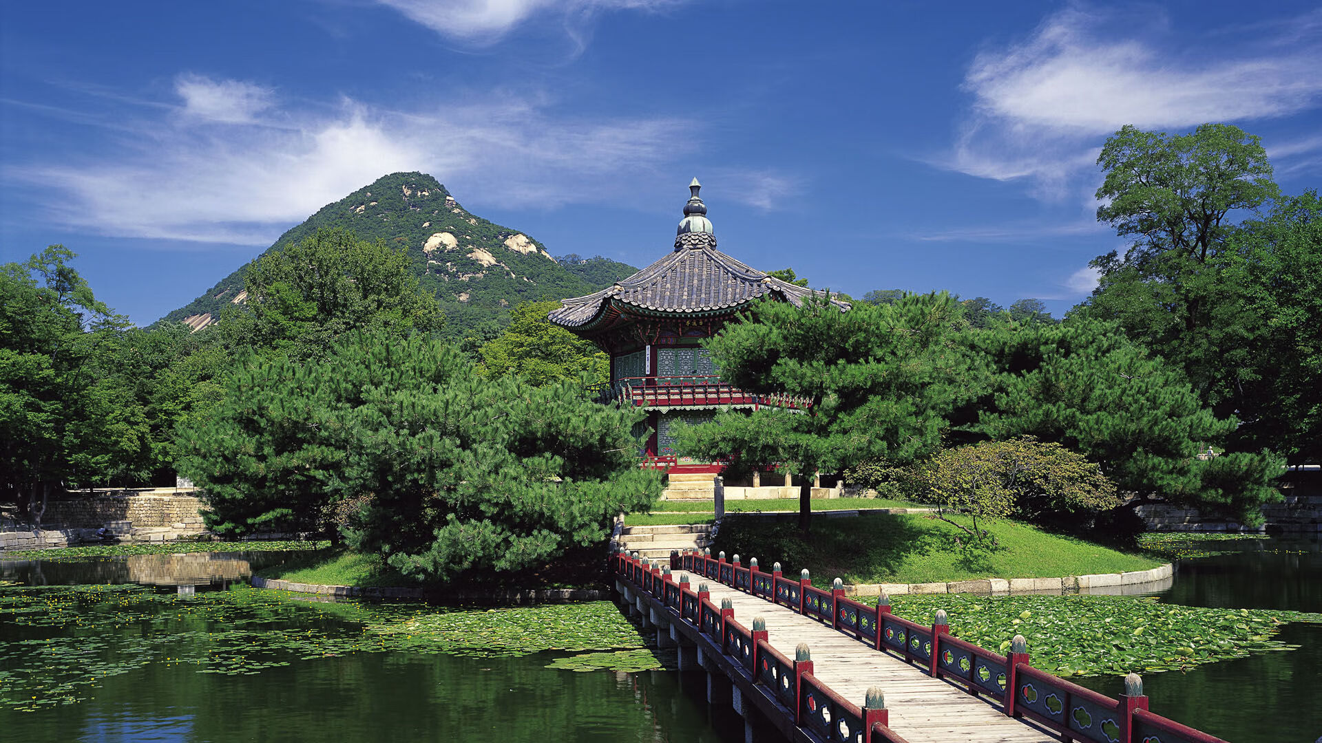 开云体育全站-塞内加尔马术队在2024年非洲马术锦标赛中获得团体障碍赛金牌，时隔五年再获奖牌。