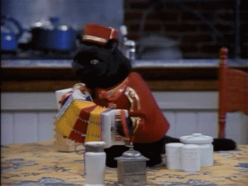 墨西哥马术协会建立马匹基因数据库,促进马匹选育与训练。,墨西哥马西亚斯